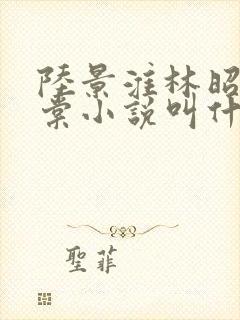 陆景淮林昭沈千棠小说叫什么名字