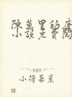 陈万里的唐嫣然小说免费阅读