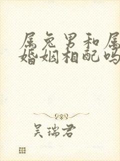 属兔男和属鼠女婚姻相配吗