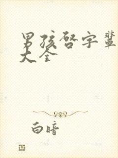 男孩启字辈取名大全