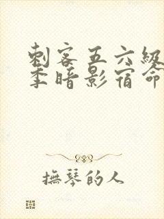 刺客五六级第四季暗影宿命免费观看