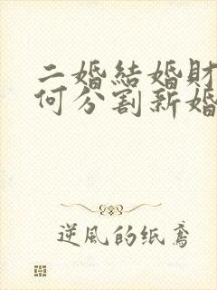 二婚结婚财产如何分割新婚姻法