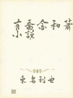 有乔念和萧衡的小说