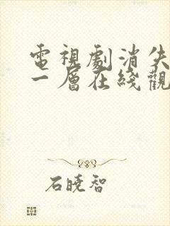 电视剧消失的十一层在线观看免费