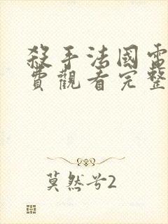 杀手法国电影免费观看完整版