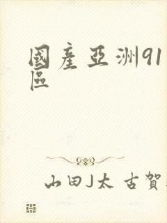 国产亚洲91一区