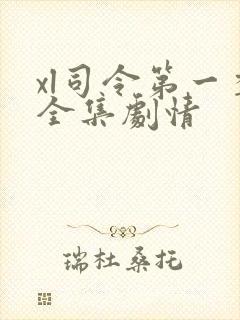 xl司令第一季全集剧情