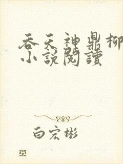 吞天神鼎柳无邪小说阅读