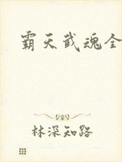 霸天武魂全本封面
