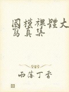 国模裸体大尺度写真集