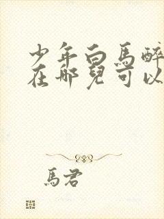 少年白马醉春风在哪儿可以看