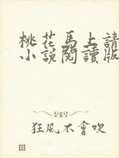 桃花马上请长缨小说阅读版封面