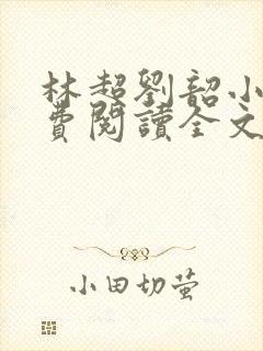 林超刘韶小说免费阅读全文最新章节封面