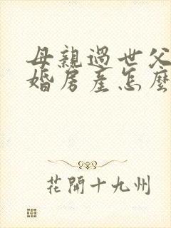 母亲过世父亲再婚房产怎么继承后妈怎么拿