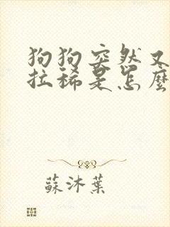 狗狗突然又吐又拉稀是怎么回事封面