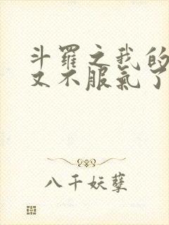 斗罗之我的系统又不服气了小说免费看