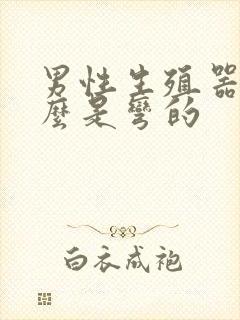 男性生殖器为什么是弯的封面