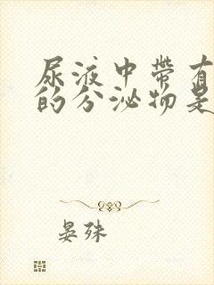 尿液中带有白色的分泌物是怎么回事