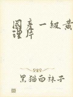 国产一级黄色伦理片