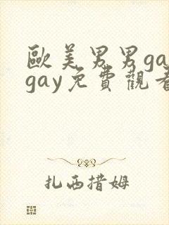 欧美男男gaygay免费观看