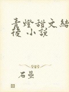 青灯甜文结局之后 小说