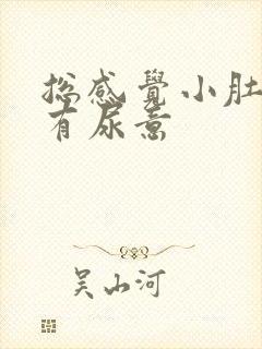 总感觉小肚子涨有尿意