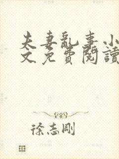 夫妻乱事小说全文免费阅读最新章节封面