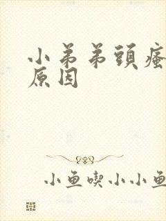 小弟弟头瘙痒的原因