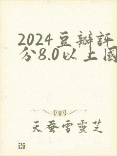 2024豆瓣评分8.0以上国产连续剧