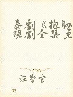 泰剧《抱胁》电视剧全集免费观看