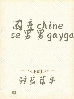 国产chinese男男gaygay视频网站