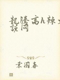 龙腾高h辣文小说网