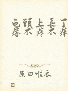 龟头上长了小疙瘩不疼不痒