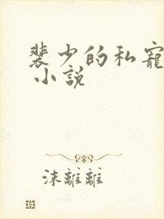 裴少的私宠娇妻 小说