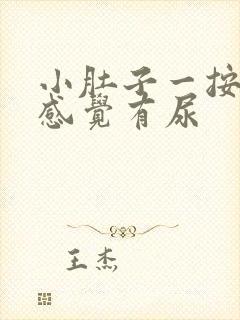 小肚子一按疼老感觉有尿