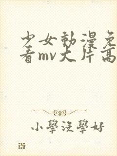 少女动漫免费观看mv大片高清动漫