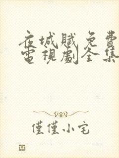 夜城赋免费观看电视剧全集