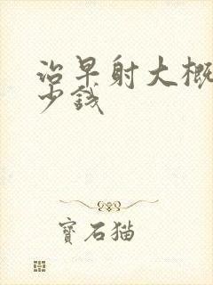 治早射大概花多少钱