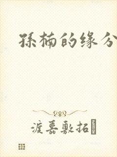 孙楠的缘分天空