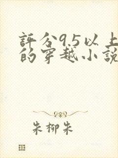 评分9.5以上的穿越小说