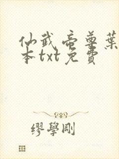仙武帝尊叶辰全本txt免费