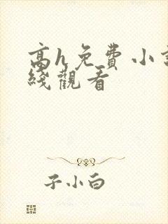 高h免费小说在线观看封面