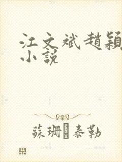 江文斌赵颖正版小说