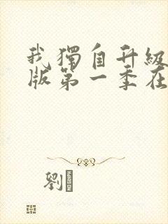 我独自升级中文版第一季在线观看