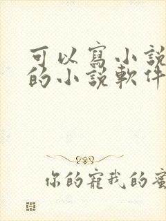 可以写小说赚钱的小说软件