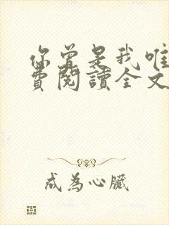 你曾是我唯一免费阅读全文