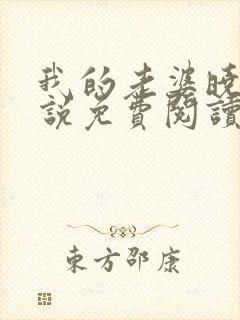 我的老婆晓馨小说免费阅读笔趣阁