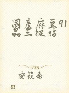 国产麻豆91精品三级站