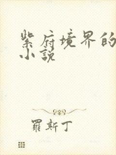 紫府境界的修仙小说