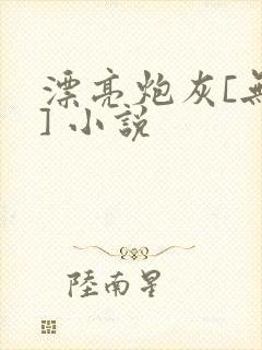 漂亮炮灰[无限] 小说